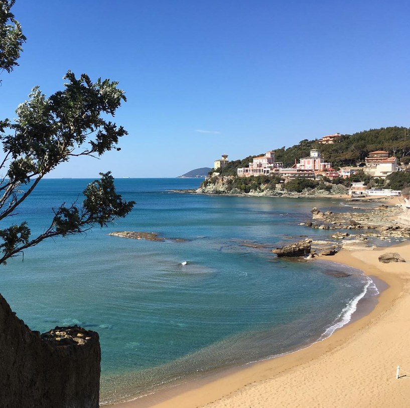 Bay with a beach and blue sea among the pines