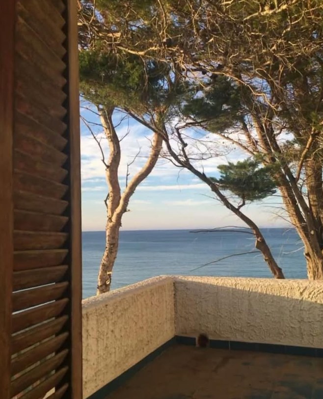 Terrace among the pines, by the sea