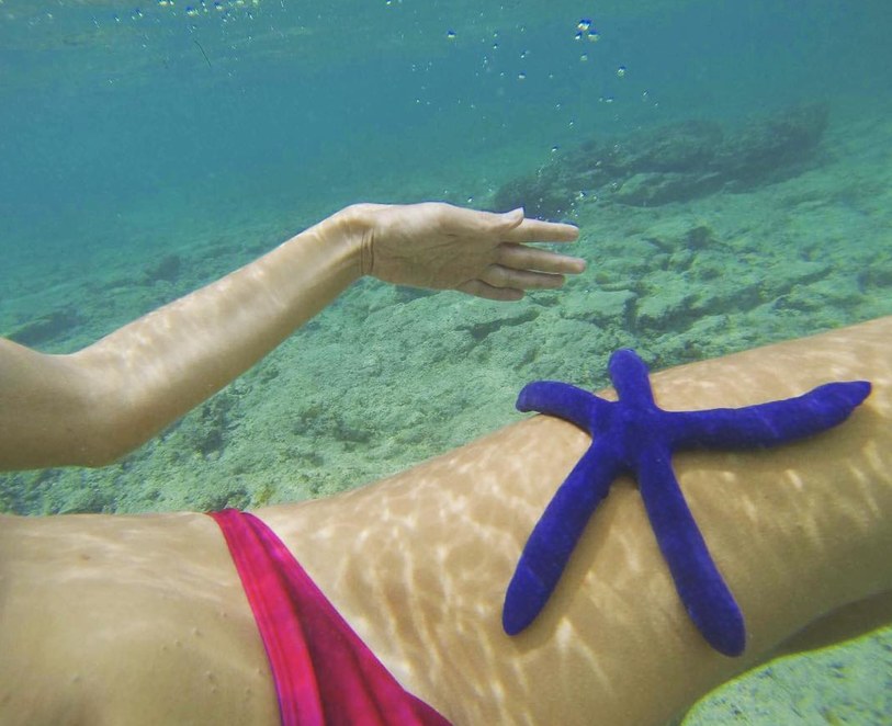 Blue starfish and fuchsia bikini underwater