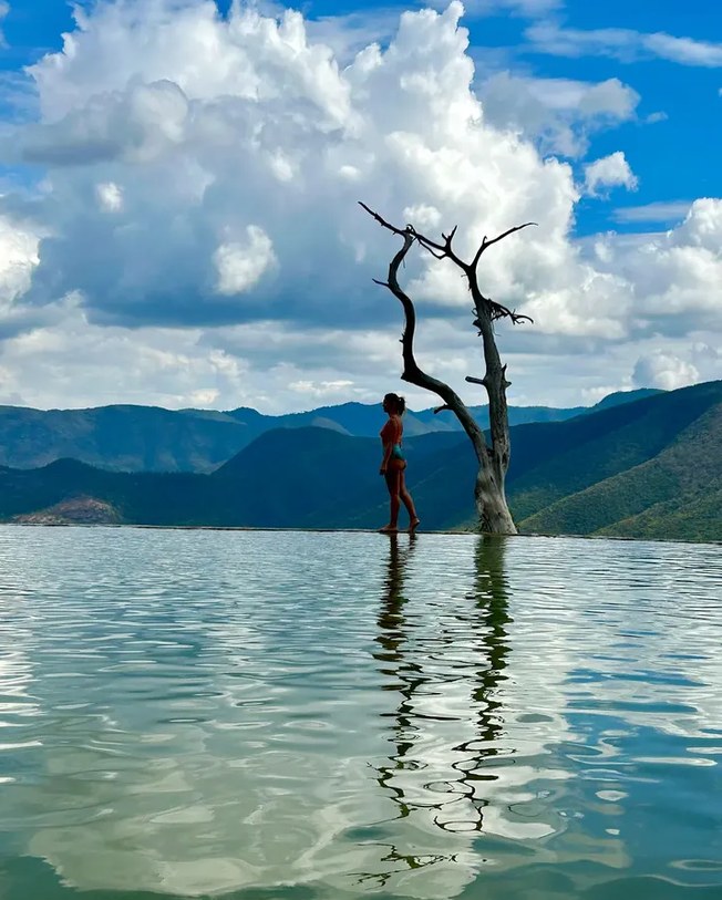 Girl in a swimsuit in a lake, next to a dead tree